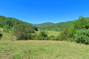 3016 Etlan, Etlan, VA 22719 - Photo 6