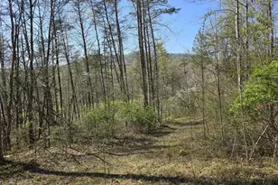 Lot 1 S Ft Valley Rd, Madison, VA 22727 - Photo 1