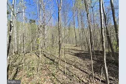 Lot 1 S Ft Valley Rd, Madison, VA 22727 - Photo 6