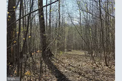 Lot 2 S Ft Valley Rd, Madison, VA 22727 - Photo 18