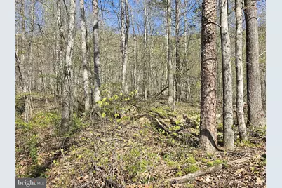 Lot 2 S Ft Valley Rd, Madison, VA 22727 - Photo 4