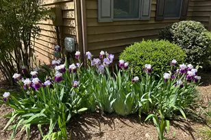 359 Malvern Dr, Madison, VA 22727 - Photo 44
