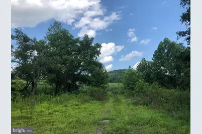 Tbd Orange Rd., Aroda, VA 22709 - Photo 4