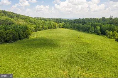 Tbd Orange Rd., Aroda, VA 22709 - Photo 14