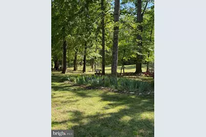 804 Buggy, Rochelle, VA 22738 - Photo 42