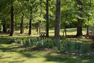 804 Buggy, Rochelle, VA 22738 - Photo 42