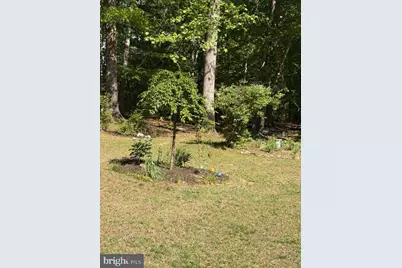 804 Buggy, Rochelle, VA 22738 - Photo 8