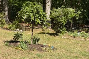 804 Buggy, Rochelle, VA 22738 - Photo 8