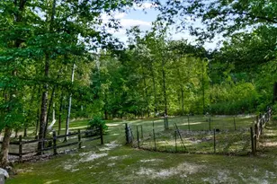 804 Buggy, Rochelle, VA 22738 - Photo 40