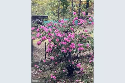 804 Buggy, Rochelle, VA 22738 - Photo 8