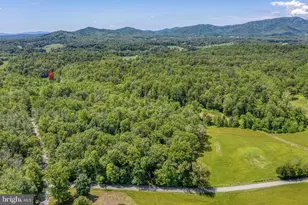 803 Weaver Hollow Rd, Banco, VA 22711 - Photo 62