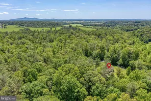 803 Weaver Hollow Rd, Banco, VA 22711 - Photo 58