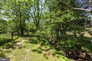 4253 S Blue Ridge, Rochelle, VA 22738 - Photo 56