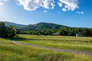99 Bluff Mountain Rd, Madison, VA 22727 - Photo 32