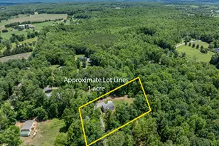 4771 S Blue Ridge Turnpike, Rochelle, VA 22738 - Photo 28