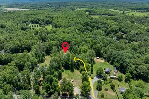 4771 S Blue Ridge Turnpike, Rochelle, VA 22738 - Photo 6