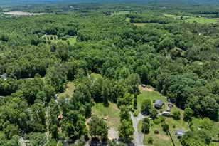 4771 S Blue Ridge Turnpike, Rochelle, VA 22738 - Photo 26