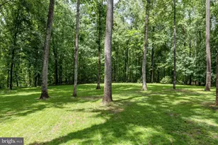 1425 Jacks Shop Rd, Rochelle, VA 22738 - Photo 56