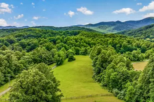 4028 S F T Valley Rd, Etlan, VA 22719 - Photo 10