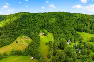 4028 S F T Valley Rd, Etlan, VA 22719 - Photo 24