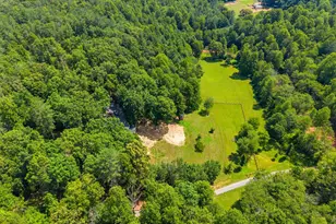 1515 Desert Rd, Reva, VA 22735 - Photo 2