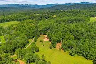 1515 Desert Rd, Reva, VA 22735 - Photo 2