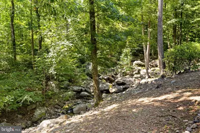 1319 Champe Plain, Etlan, VA 22719 - Photo 50