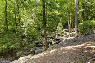 1319 Champe Plain, Etlan, VA 22719 - Photo 50