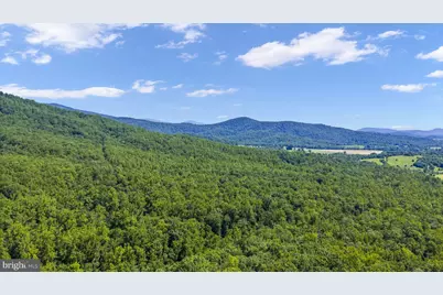 1319 Champe Plain, Etlan, VA 22719 - Photo 56