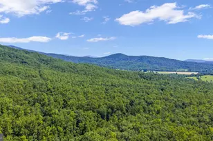 1319 Champe Plain, Etlan, VA 22719 - Photo 56