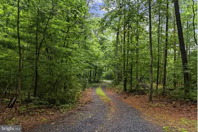 554 Arrington Mountain Road, Haywood, VA 22722 - Photo 4