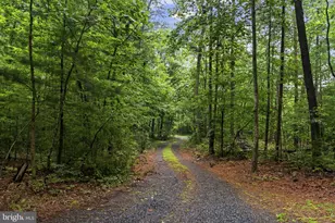 554 Arrington Mountain Rd, Haywood, VA 22722 - Photo 4