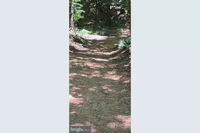 0 Thoroughfare Rd #LOT 1, Brightwood, VA 22701 - Photo 4