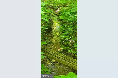 0 Thoroughfare Rd #LOT 1, Brightwood, VA 22701 - Photo 10