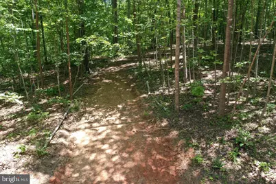 0 Thoroughfare Rd #LOT 1, Brightwood, VA 22701 - Photo 2