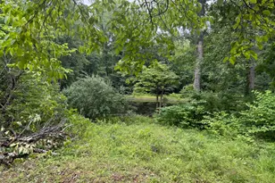 6334 W Hoover Rd, Reva, VA 22735 - Photo 4