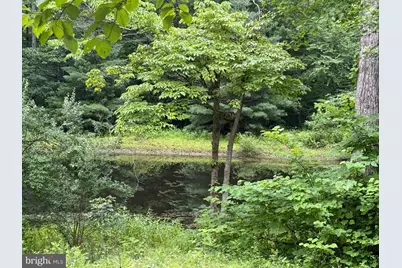 6334 W Hoover Road, Reva, VA 22735 - Photo 6