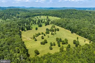 1688 Desert Rd, Reva, VA 22735 - Photo 62