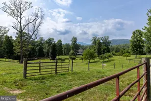 1688 Desert Rd, Reva, VA 22735 - Photo 74