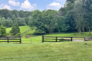 409 Cook Mountain Rd, Brightwood, VA 22715 - Photo 14