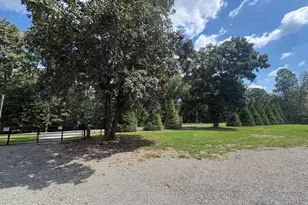 2242 Shelby Rd, Madison, VA 22727 - Photo 8