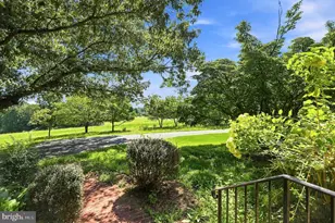 359 Malvern Dr, Madison, VA 22727 - Photo 4
