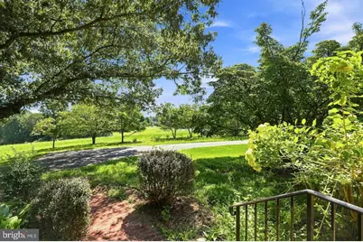 359 Malvern Drive, Madison, VA 22727 - Photo 4