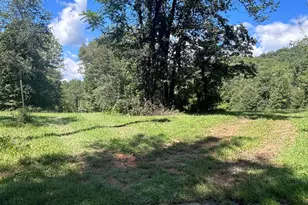 301 Dulaney Mountain Rd, Madison, VA 22727 - Photo 26