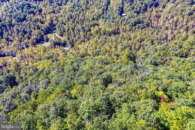 1048 Courtney Hollow Lane, Madison, VA 22727 - Photo 46