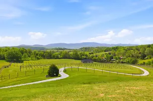60 Great Valley Ln, Natural Bridge, VA 24578 - Photo 54