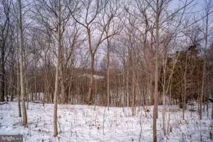 190 Ridgemore Dr, Raphine, VA 24472 - Photo 84
