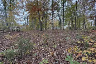 Tbd W 8th St, Mineral, VA 23117 - Photo 1