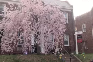 2228 40th St NW, Washington, DC 20007 - Photo 20