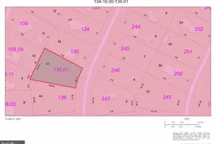 Lot 43 Block 2 Alabama Dr Plantation Park, Frankford, DE 19945 - Photo 1